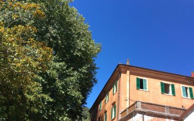 ESTATE 2021: SEMINARI RESIDENZIALI DI TEATRO!