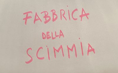 FABBRICA DELLA SCIMMIA: CHIAMATA PER GLI ARTISTI!